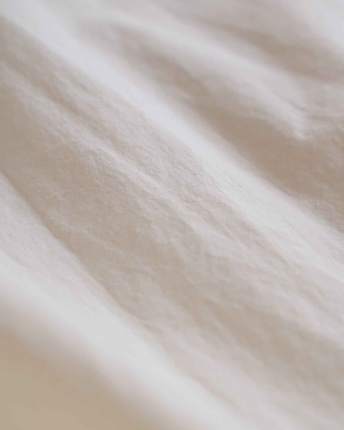 ダッチカラーシャツ / タイプライターコットン – entwa